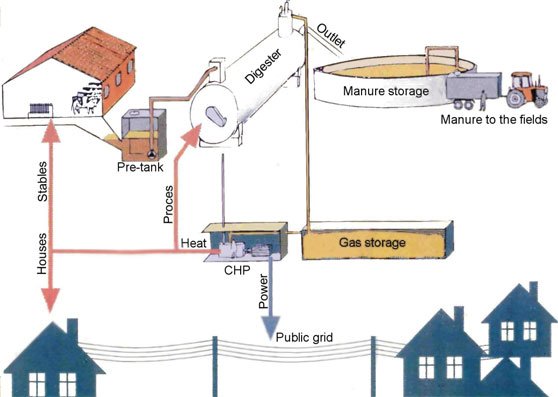 Biogas fra gylle
