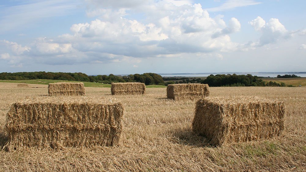 Halmballer-i-naturen_Vattenfall