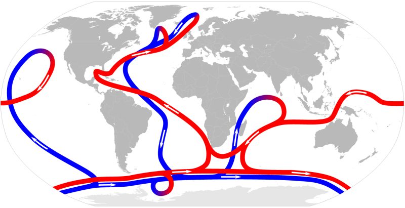 Thermohaline cirkulation