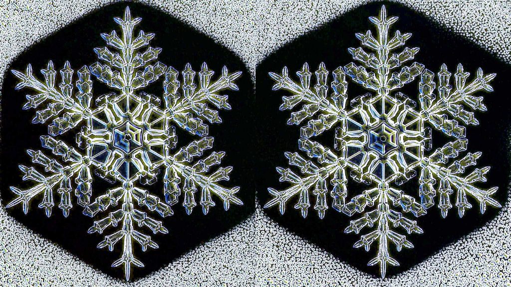 identicalsnowflakessavedforweb